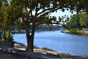 Walking along the Yarra River