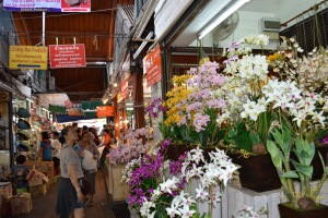 Khun Ooi looking at flowers at JJ market