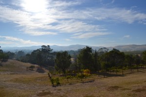 Sunset over the Barossa