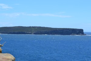 View of the North Shore