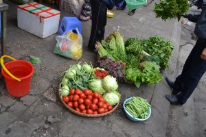 Herbs and Vegetables